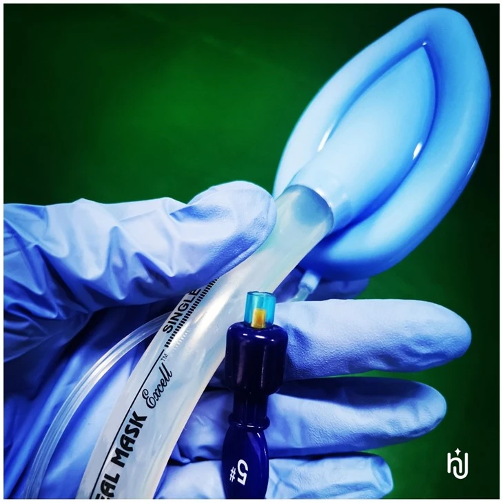 Parts Of Silicone Laryngeal Airway